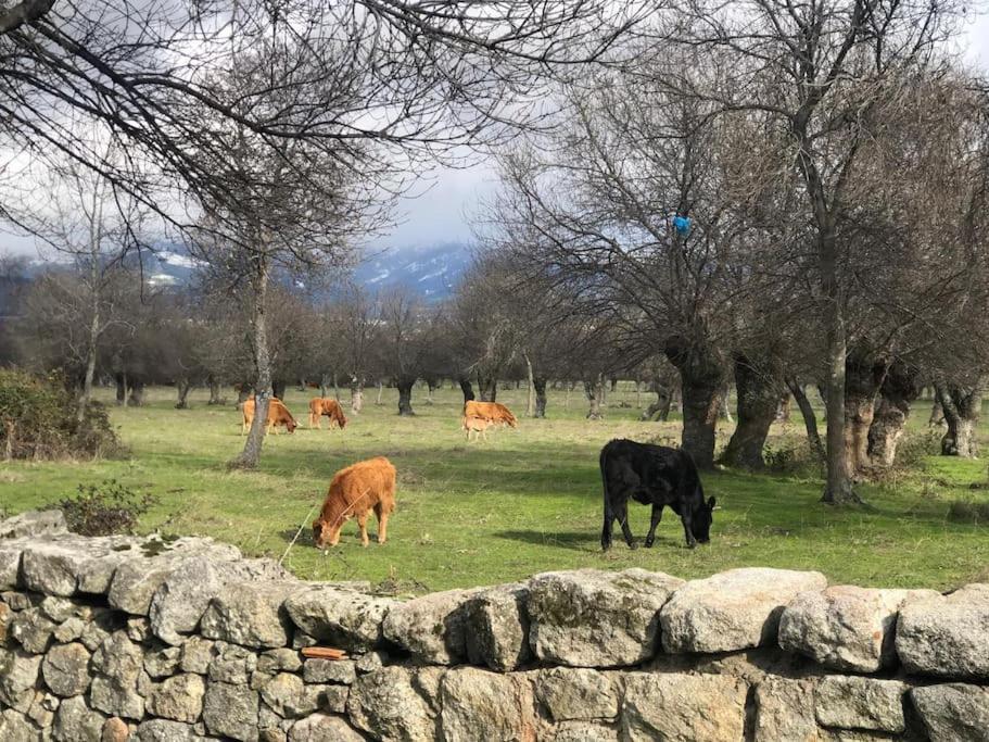 Guadarrama, Atico Nuevo Con Espectaculares Vistas公寓 外观 照片